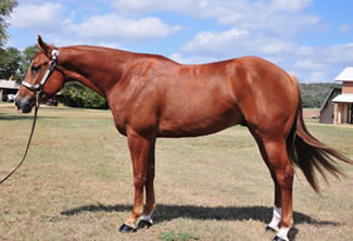 Delbert