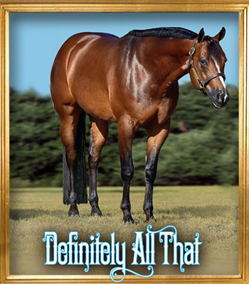 Stallion