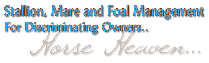Stallion, Mare and Foal Management