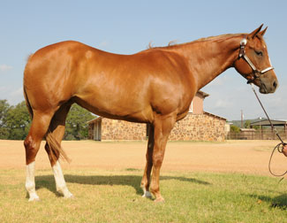 Oaklie