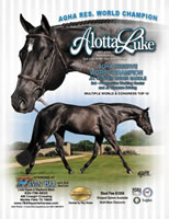 AllotaLuke7
