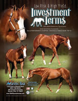 InvestmentTerms1_fs