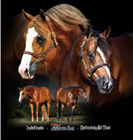 Stallions-2up-1_fs
