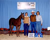 Moosie_2004_fs